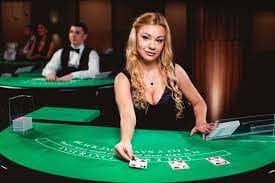 Galeri dasbor aplikasi cicakwin menampilkan meja kasino langsung, slot, dan menu akun